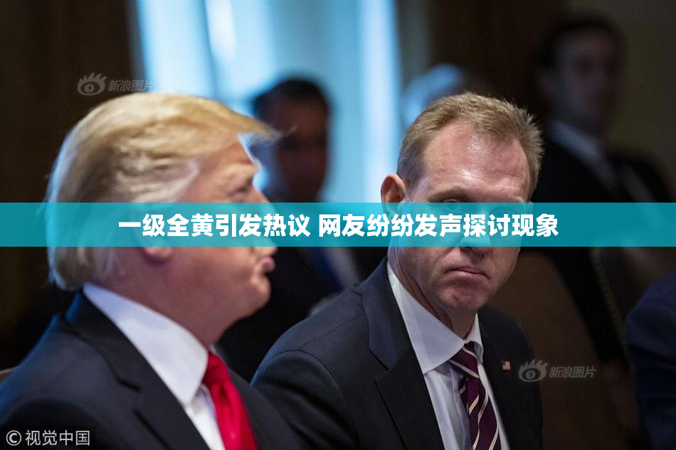 一级全黄引发热议 网友纷纷发声探讨现象