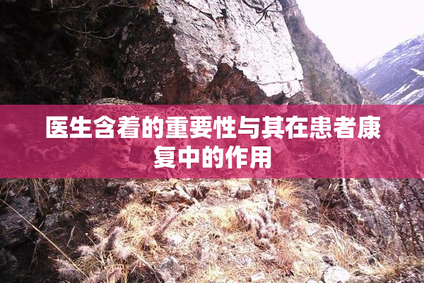 医生含着的重要性与其在患者康复中的作用