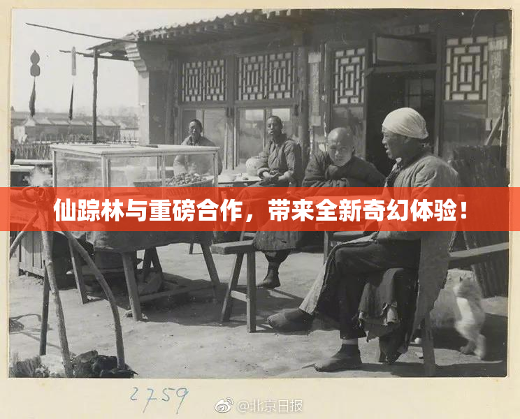 仙踪林与重磅合作，带来全新奇幻体验！
