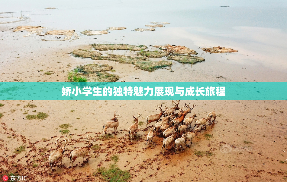 娇小学生的独特魅力展现与成长旅程