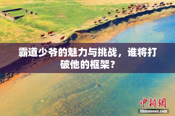 霸道少爷的魅力与挑战，谁将打破他的框架？