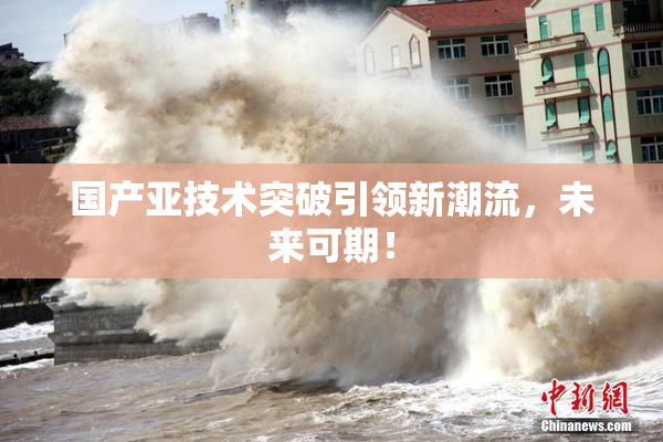 国产亚技术突破引领新潮流，未来可期！