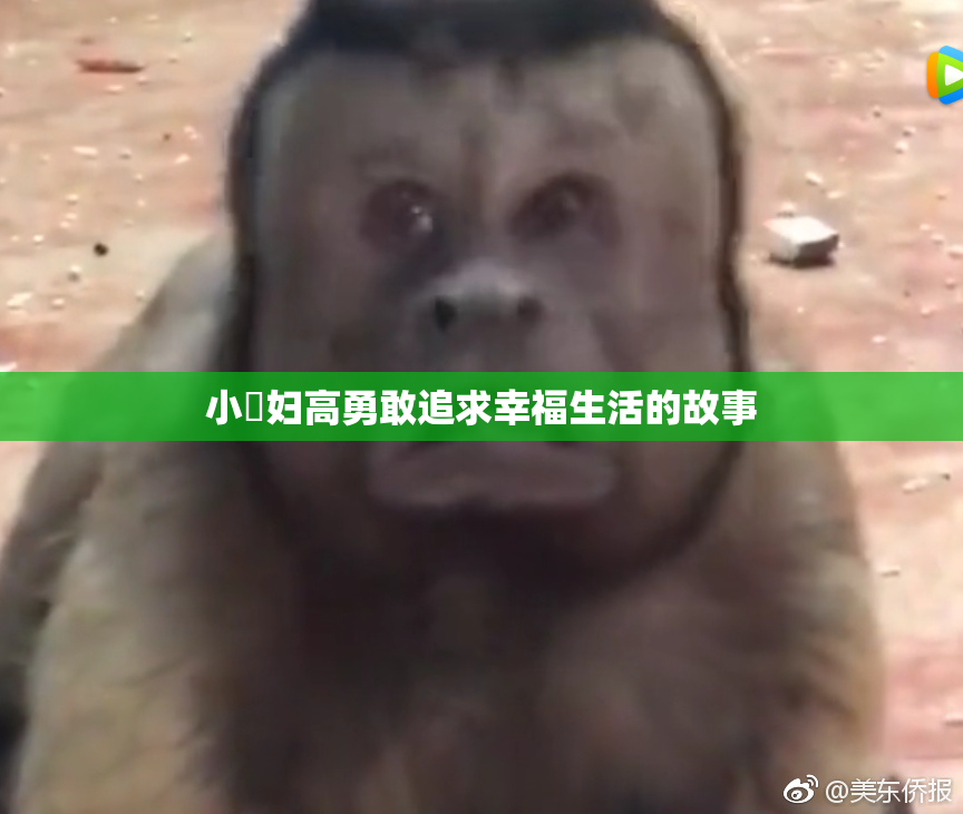 小婬妇高勇敢追求幸福生活的故事