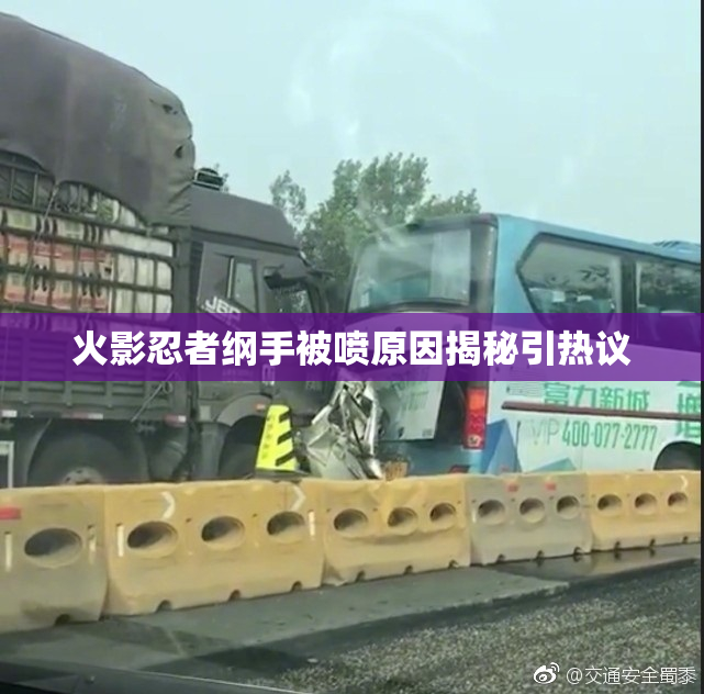火影忍者纲手被喷原因揭秘引热议