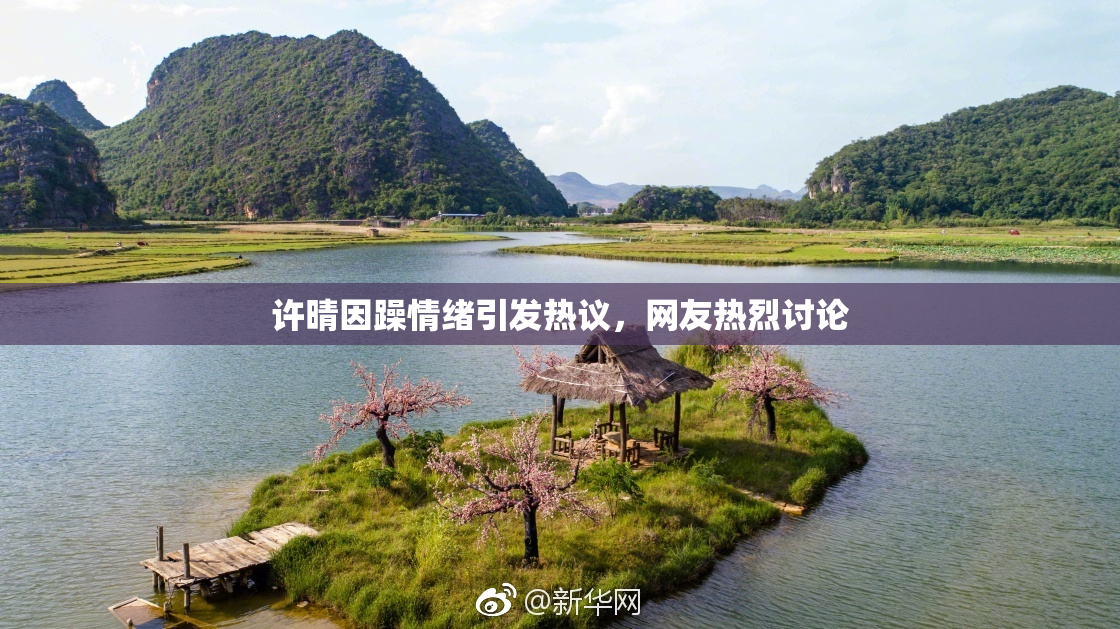 许晴因躁情绪引发热议，网友热烈讨论