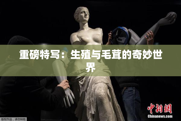重磅特写：生殖与毛茸的奇妙世界