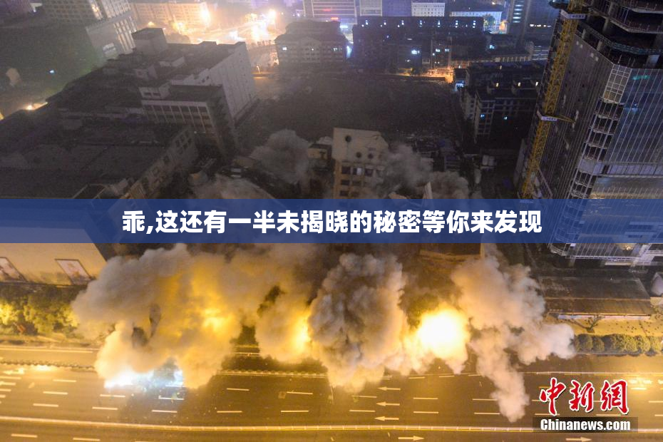 乖,这还有一半未揭晓的秘密等你来发现