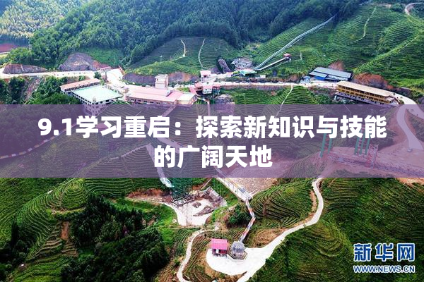 9.1学习重启：探索新知识与技能的广阔天地