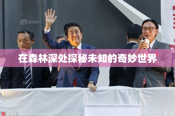 在森林深处探秘未知的奇妙世界