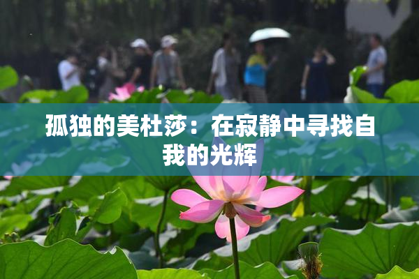 孤独的美杜莎：在寂静中寻找自我的光辉