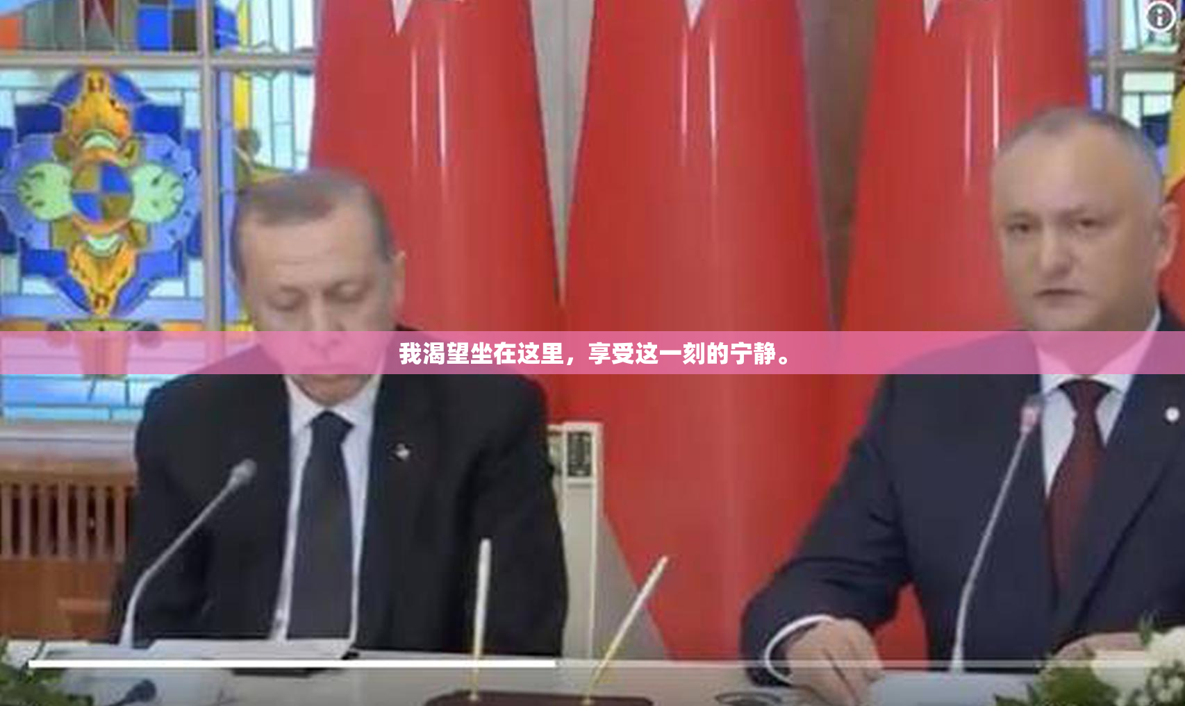 我渴望坐在这里，享受这一刻的宁静。