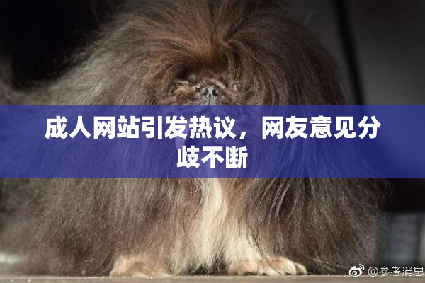 成人网站引发热议，网友意见分歧不断