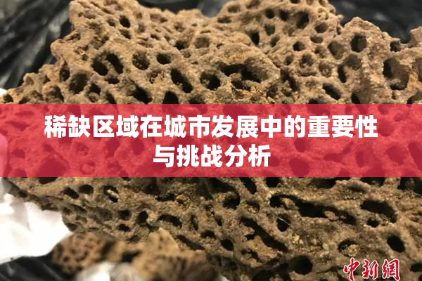 稀缺区域在城市发展中的重要性与挑战分析