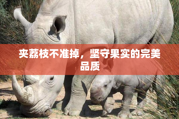 夹荔枝不准掉，坚守果实的完美品质