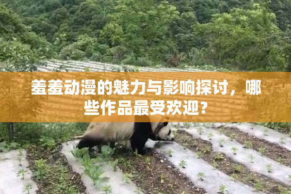 羞羞动漫的魅力与影响探讨，哪些作品最受欢迎？