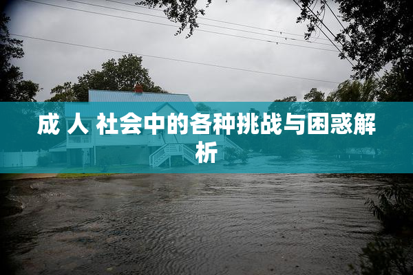 成 人 社会中的各种挑战与困惑解析