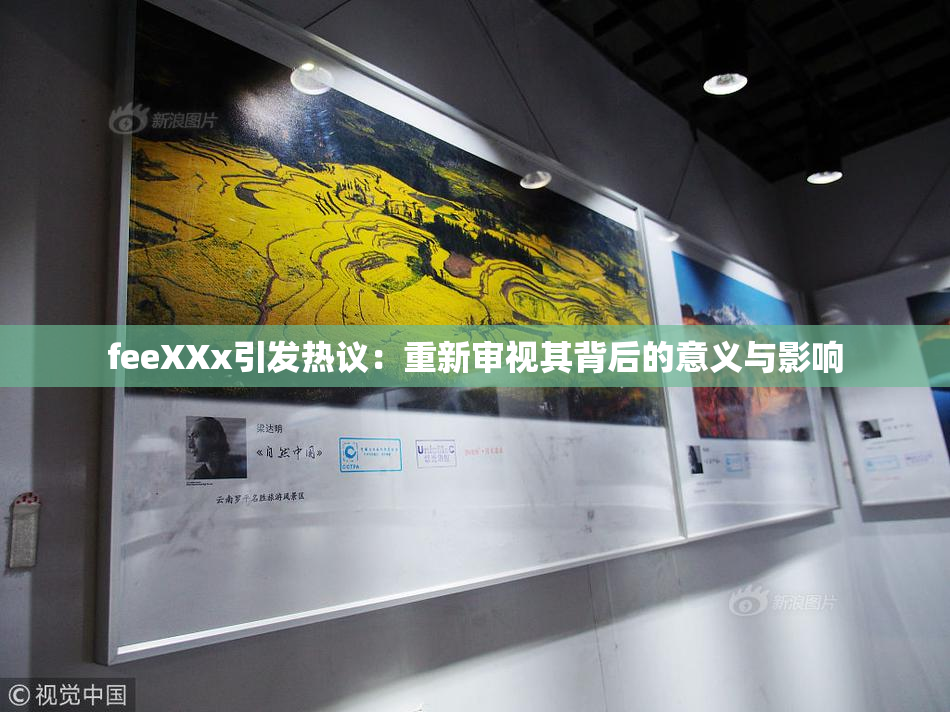 feeXXx引发热议：重新审视其背后的意义与影响
