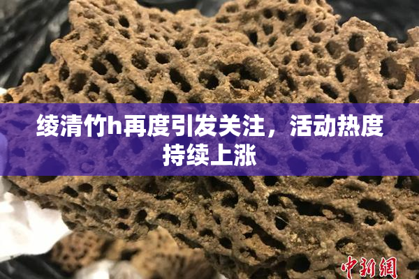绫清竹h再度引发关注，活动热度持续上涨
