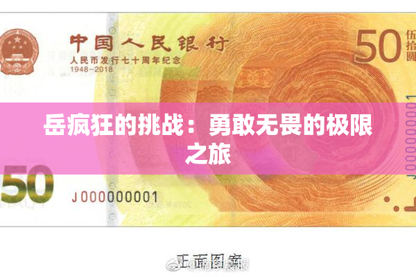岳疯狂的挑战：勇敢无畏的极限之旅