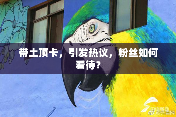 带土顶卡，引发热议，粉丝如何看待？