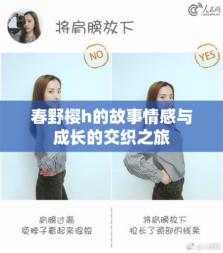 春野樱h的故事情感与成长的交织之旅