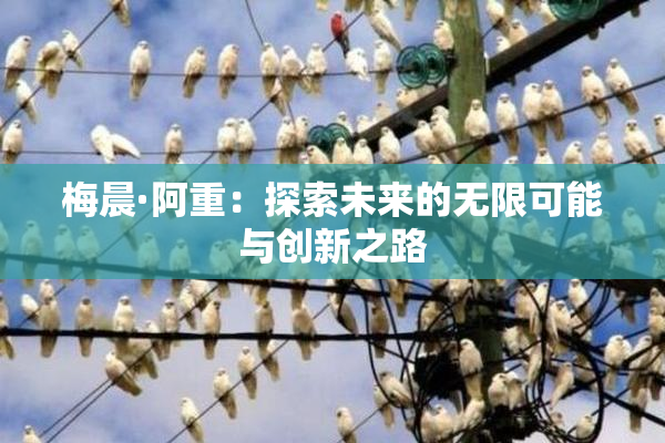 梅晨·阿重：探索未来的无限可能与创新之路