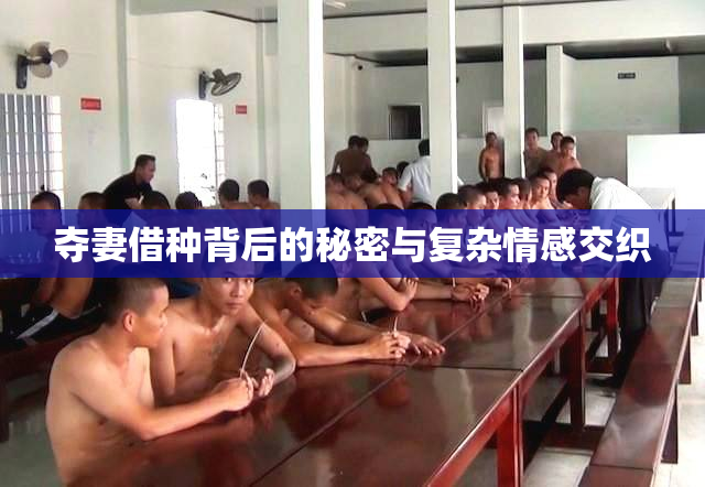 夺妻借种背后的秘密与复杂情感交织