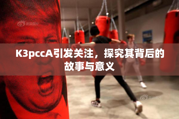 K3pccA引发关注，探究其背后的故事与意义