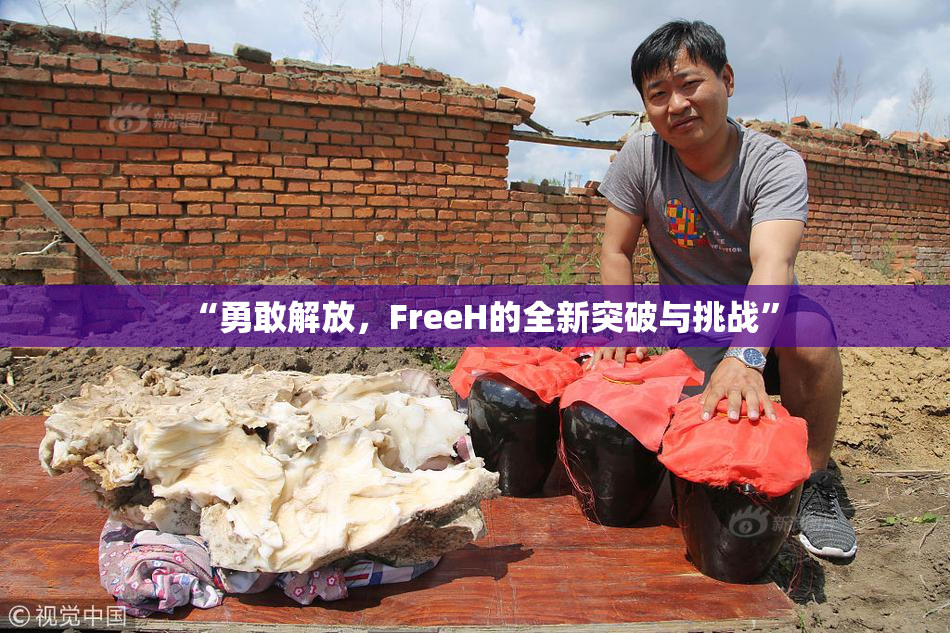 “勇敢解放，FreeH的全新突破与挑战”