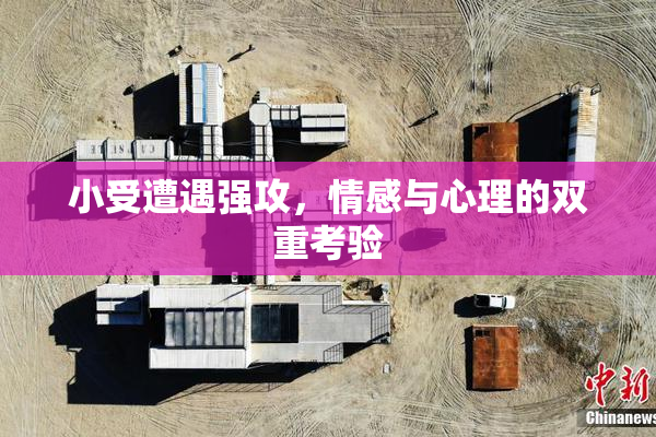 小受遭遇强攻，情感与心理的双重考验