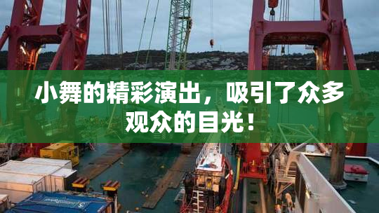 小舞的精彩演出，吸引了众多观众的目光！