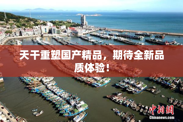 天干重塑国产精品，期待全新品质体验！