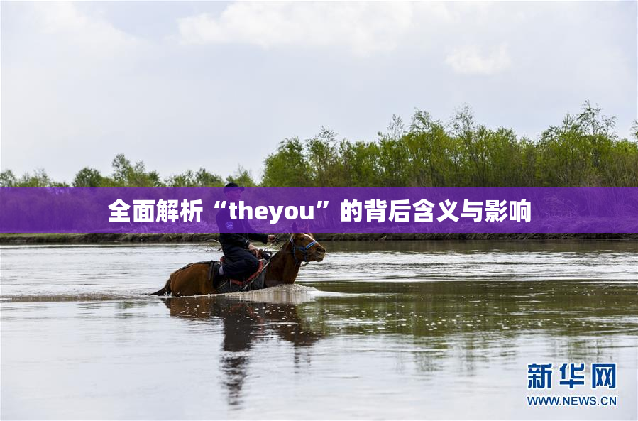 全面解析“theyou”的背后含义与影响