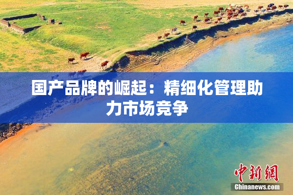 国产品牌的崛起：精细化管理助力市场竞争