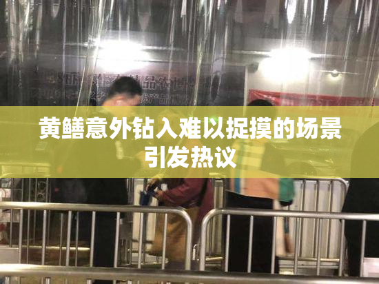 黄鳝意外钻入难以捉摸的场景引发热议