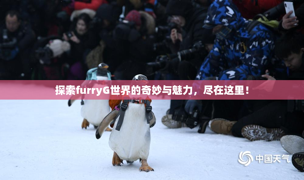 探索furryG世界的奇妙与魅力，尽在这里！