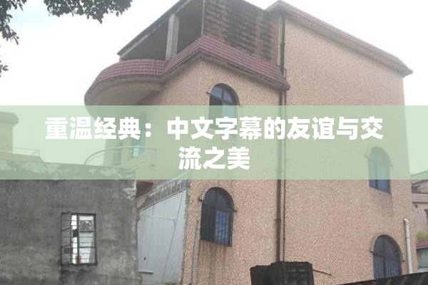 重温经典：中文字幕的友谊与交流之美