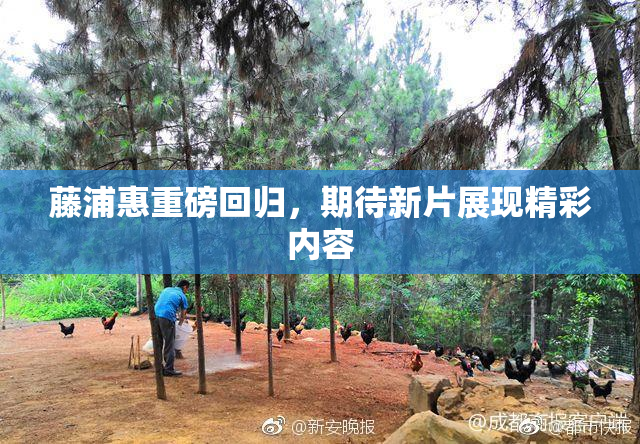 藤浦惠重磅回归，期待新片展现精彩内容