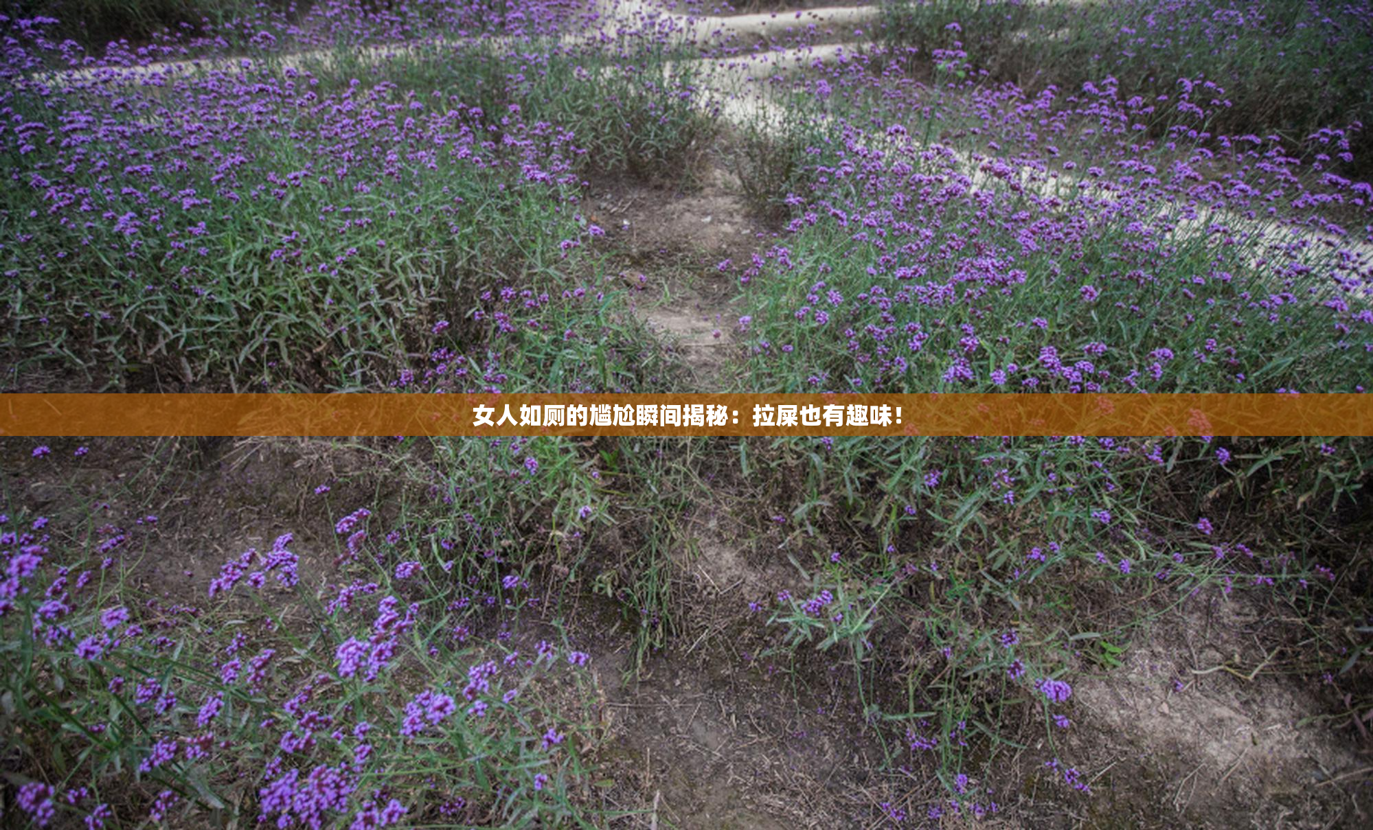女人如厕的尴尬瞬间揭秘：拉屎也有趣味！
