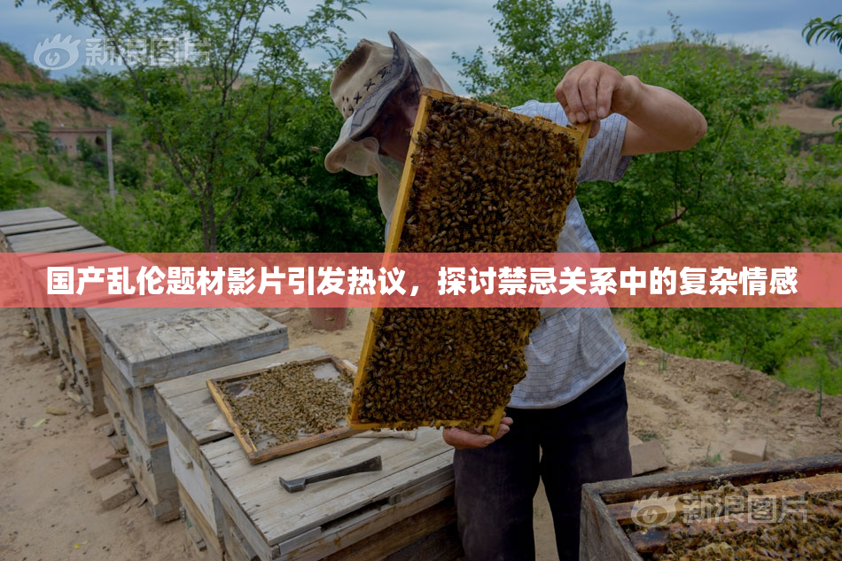 国产乱伦题材影片引发热议，探讨禁忌关系中的复杂情感