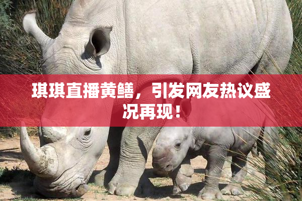 琪琪直播黄鳝，引发网友热议盛况再现！
