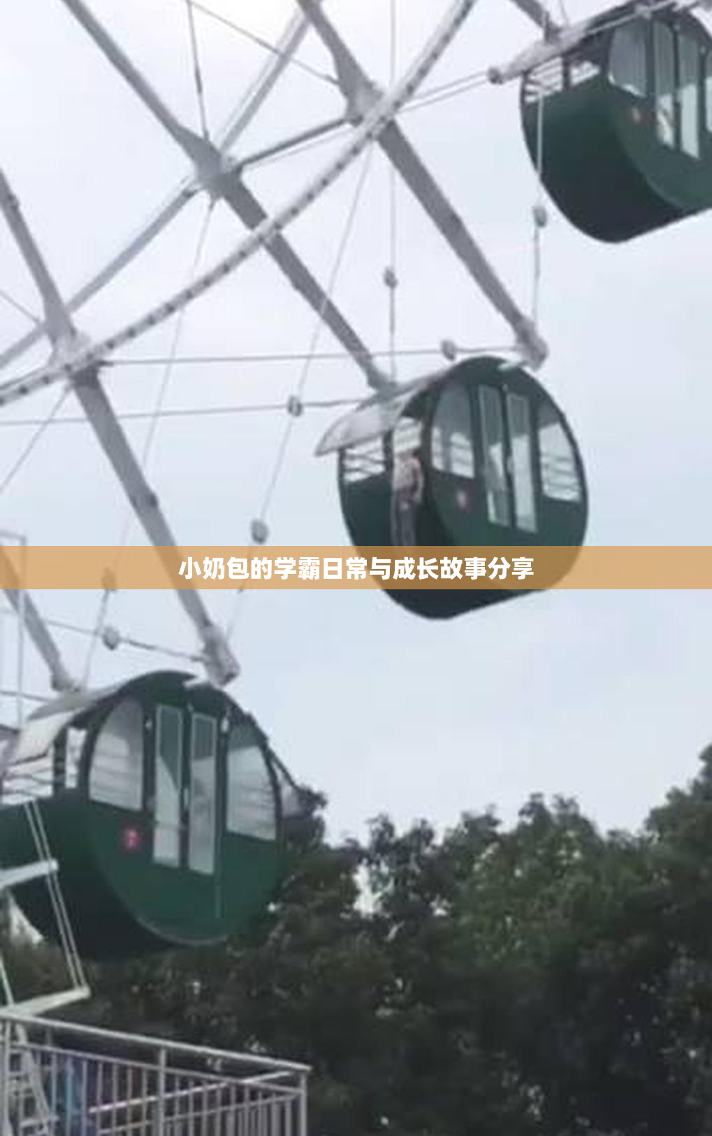 小奶包的学霸日常与成长故事分享