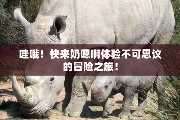 哇哦！快来奶嗯啊体验不可思议的冒险之旅！