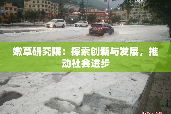 嫩草研究院：探索创新与发展，推动社会进步