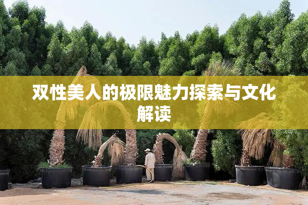 双性美人的极限魅力探索与文化解读