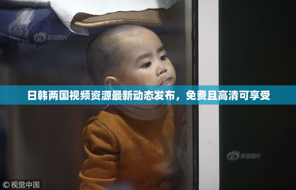 日韩两国视频资源最新动态发布，免费且高清可享受