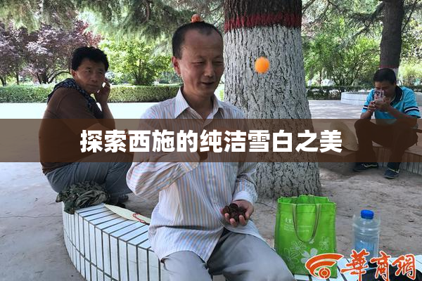 探索西施的纯洁雪白之美