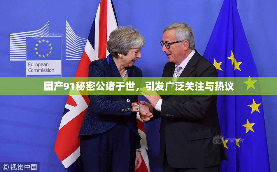 国产91秘密公诸于世，引发广泛关注与热议