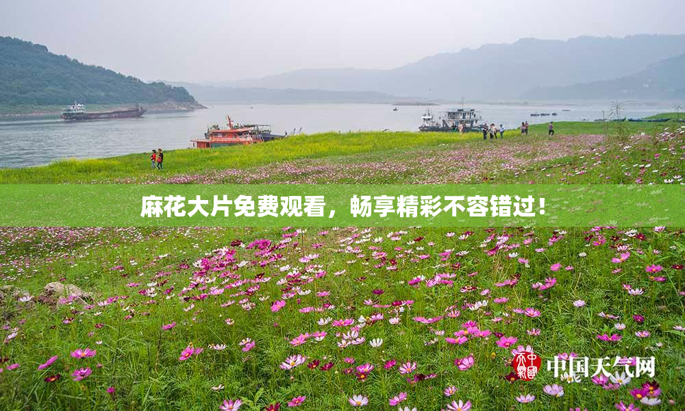麻花大片免费观看，畅享精彩不容错过！