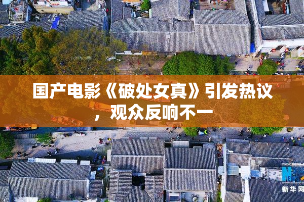 国产电影《破处女真》引发热议，观众反响不一